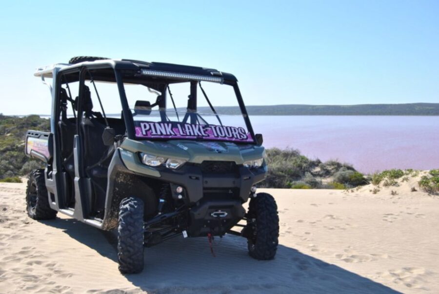 Gregory: Pink Lake Buggy Tour - Tour Overview