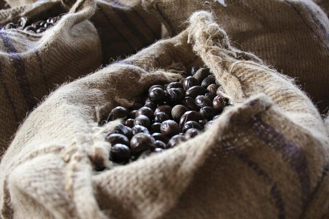 Grenada Spice Gardens, Rum & Chocolate Tour (Full/Half Day)