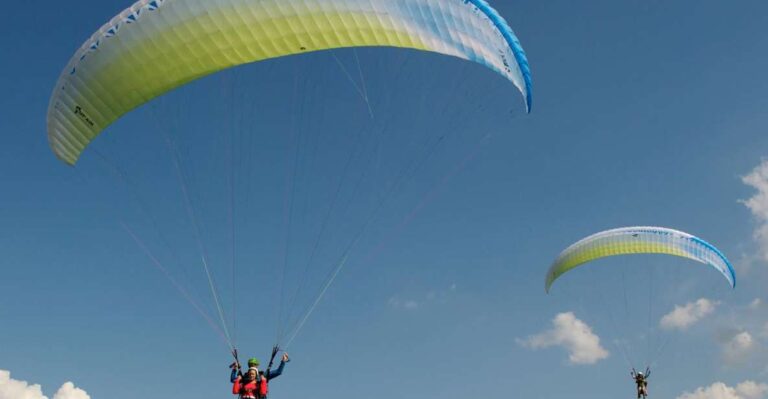 Grenoble: Sensation Paragliding Experience