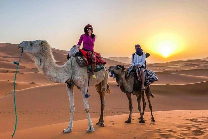 Group - 1 Night Desert Tour From Fes to Marrakech or Back to Fes - Group Overview