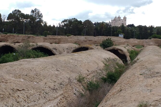 Group Guided Bike Tour of Carthage Archeological Site in Tunisia
