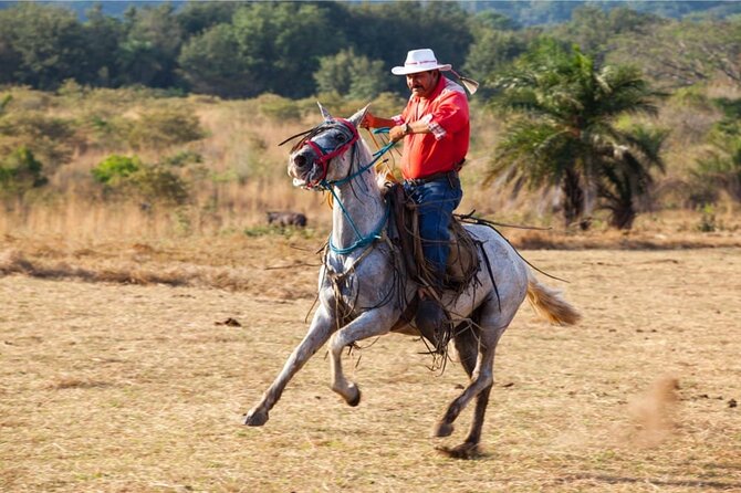 Guachipelin Adventure Volcano Zipline Horseback River Tubing Combo - Tour Overview