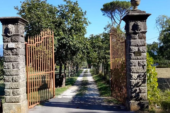 Guided E-Bike Tour With Wine Tasting From Lucca - Overview of the Experience