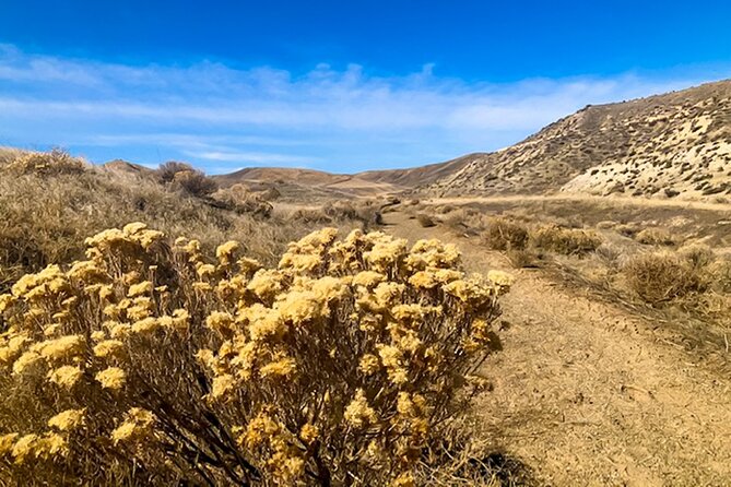 Guided Half-Day Scenic Tour - Off The Beaten Path