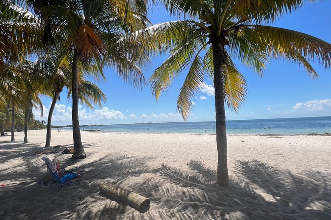 Guided Jet Snorkel Experience, Free Videos in West Palm Beach - Experience Overview
