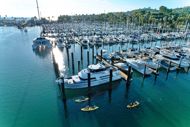 Guided Kayak Wildlife Tour in the Santa Barbara Harbor - Tour Overview
