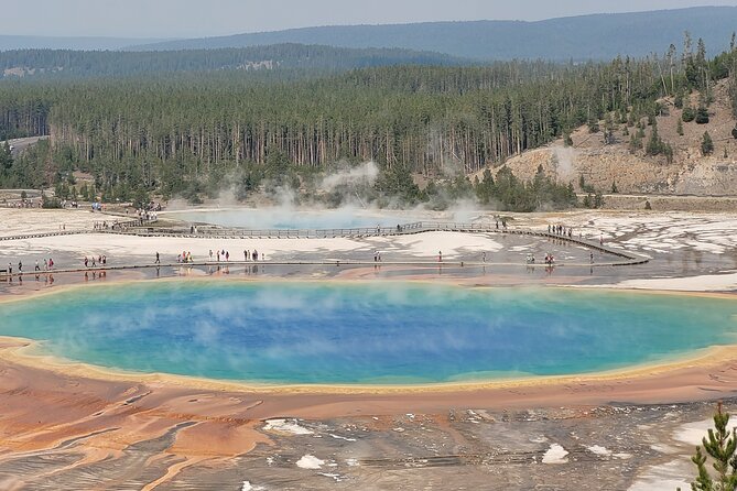 Guided Lower Loop of Yellowstone Tour From Cody, WY