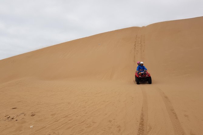 Guided Quad Ride in Essaouira (1 Hour). (Free Transfer)