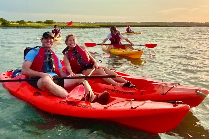 Guided Tour for Dolphin & Sea Turtle Observation in Saint Augustine, Florida