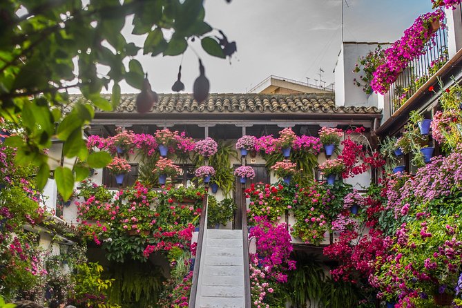 guided-tour-to-the-popular-patios-of-cordoba-ancient-roman-floral-tradition