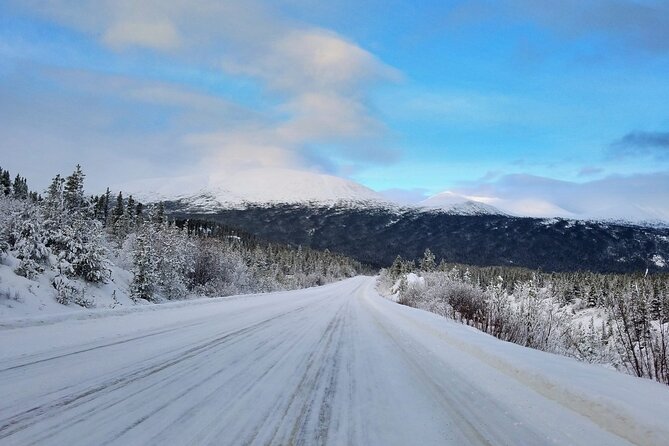 Guided Winter Wonderland Tour to Canada