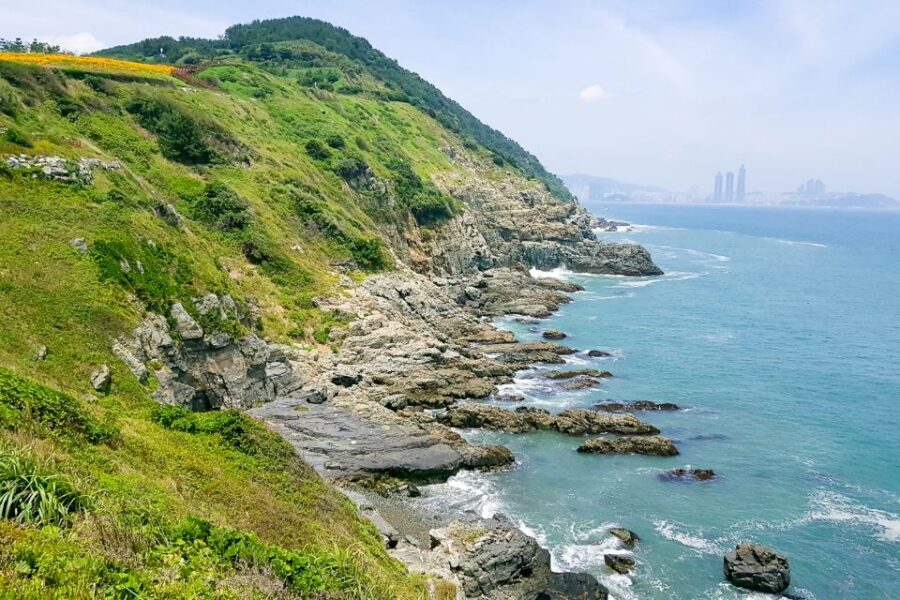 haedong-yonggungsa-temple-camellias-island-more-highlights