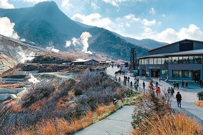 hakone-executive-one-day-tour-to-with-english-speaking-guide-tour-overview