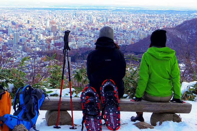 Half-Day (4 Hours) Sapporo City Tour - Tour Overview