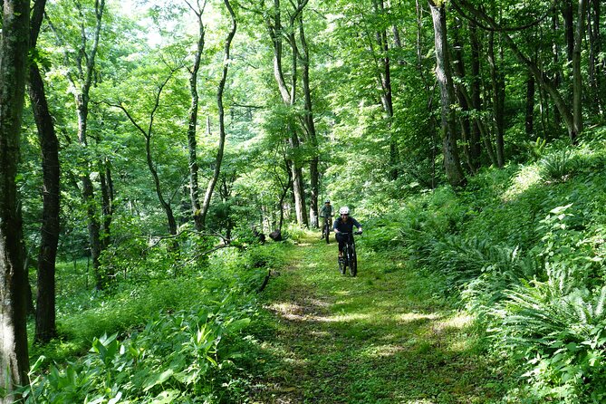 Half Day E-Bike Adventure Tour in Nagano - Activity Overview