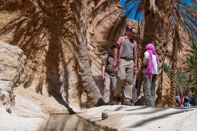 half-day-excursion-to-the-mountain-oases-from-tozeur-overview-of-the-excursion