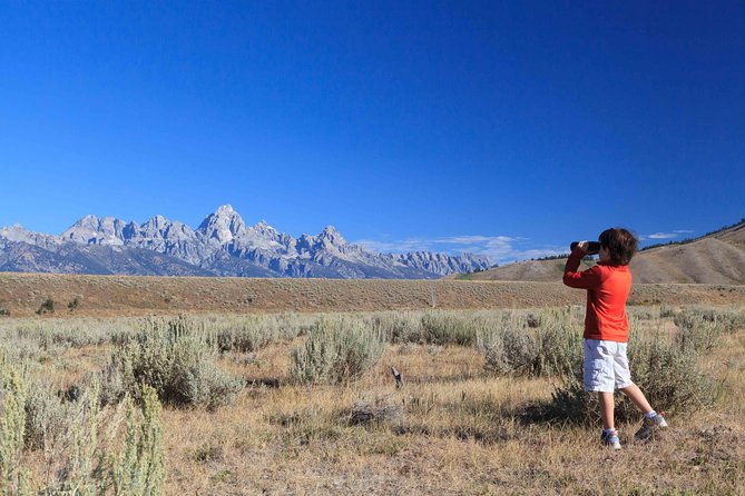 Half-Day Grand Teton Wildlife Safari Private Tour - Tour Overview