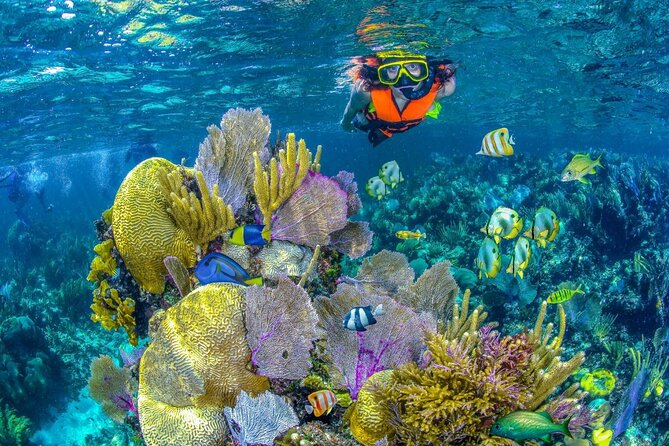 Half Day Guided Snorkeling Adventure in Puerto Morelos - Tour Overview and Details