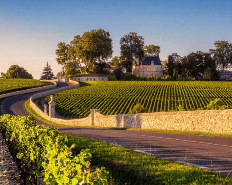 half-day-in-the-medoc-from-bordeaux-2-wineries-and-6-wines-tour-overview