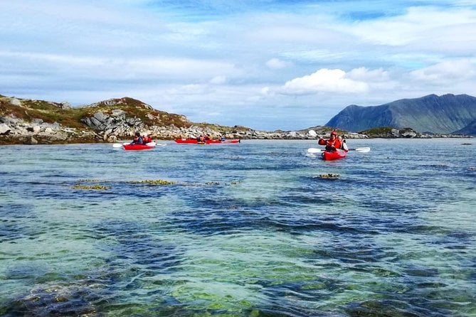 Half Day Kayak – Northern Explores AS