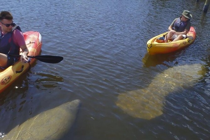 half-day-kayak-or-sup-rental-3hr-bunche-beach-kayak-and-sup-rental-details