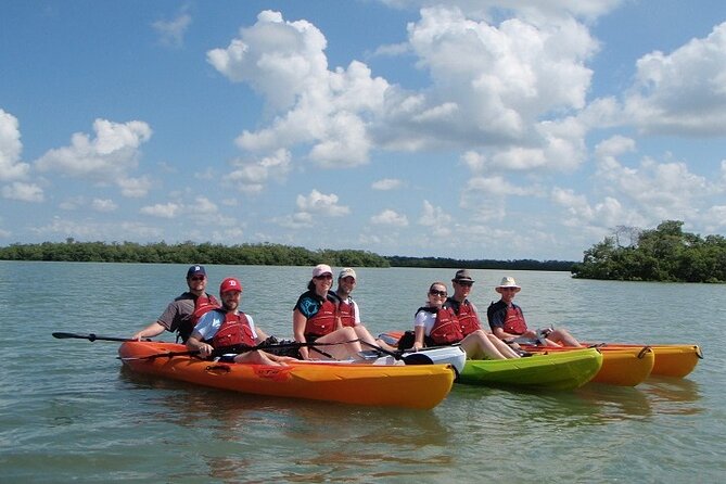 half-day-kayak-or-sup-rental-3hr-pelican-bay-wildlife-habitats-at-your-pace