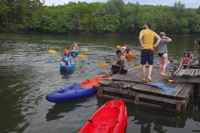 Half Day Mangrove by Kayaking or Longtail Boat From Koh Lanta