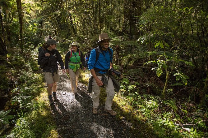 6 Best Tours In Fiordland and Milford Sound