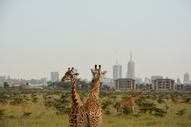 Half-Day Nairobi National Park and Maasai Market With Pick up - Tour Description