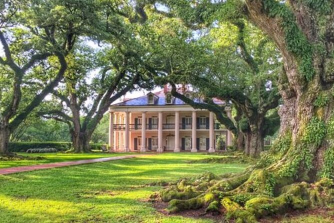 Half-Day Oak Alley Plantation Tour in Vacherie - Highlights of the Tour