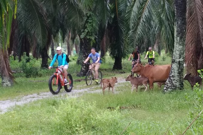 half-day-penang-countryside-cycling-tour-tour-overview