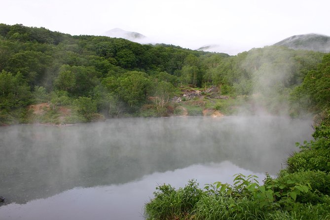 Half-Day Private Guided Japanese Hot Spring Experience