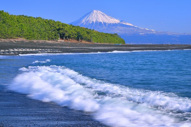 half-day-private-sightseeing-tour-around-shimizu-port-tour-overview