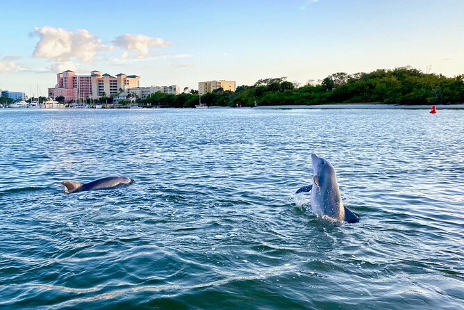 Half-Day Private Tiki Boat Beach Tour From Fort Myers