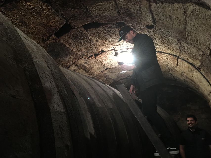 half-day-rioja-wine-tour-from-rioja-overview-of-the-tour