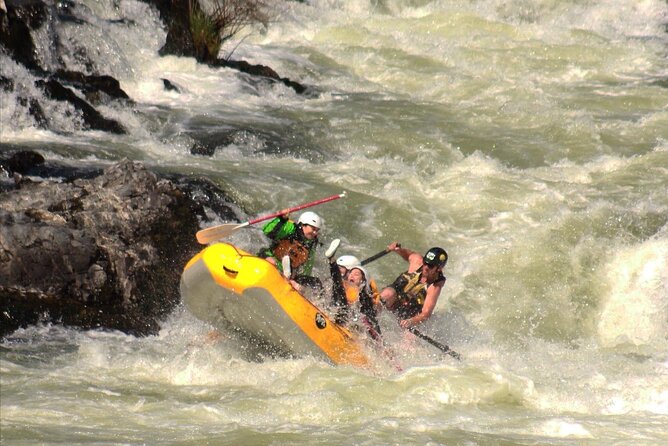 half-day-rogue-river-white-water-class-i-iv-overview-of-the-rogue-river-trip