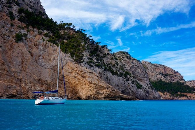 Half Day Sailing Excursion Along the Coast