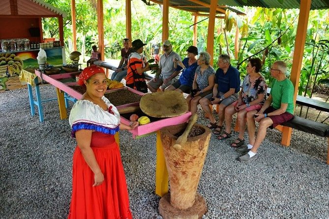 Half-Day Tour: Dominican Discovery Of a Culture - Tour Overview and Details
