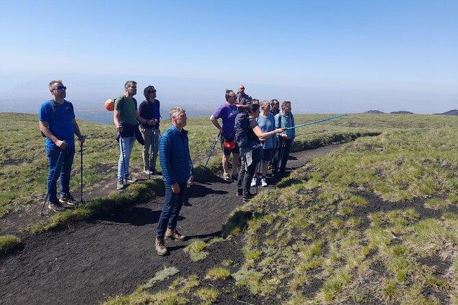 Half Day Trekking Tour on Etna - Overview of the Tour