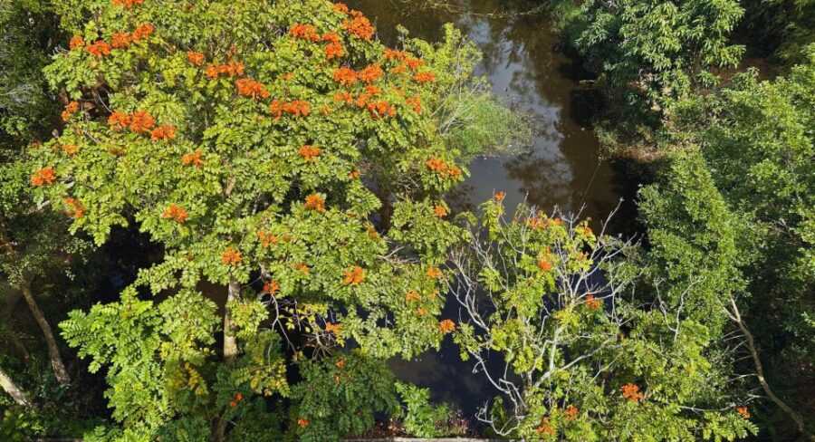 half-day-visit-to-the-nature-reserve-of-lung-ngoc-hoang-can-tho-city-pickup-and-transportation