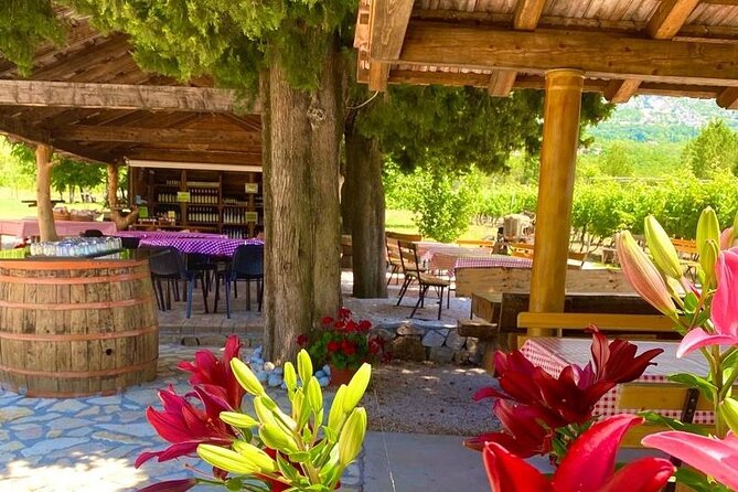 Half-Day Wine and Food Tasting From Dubrovnik