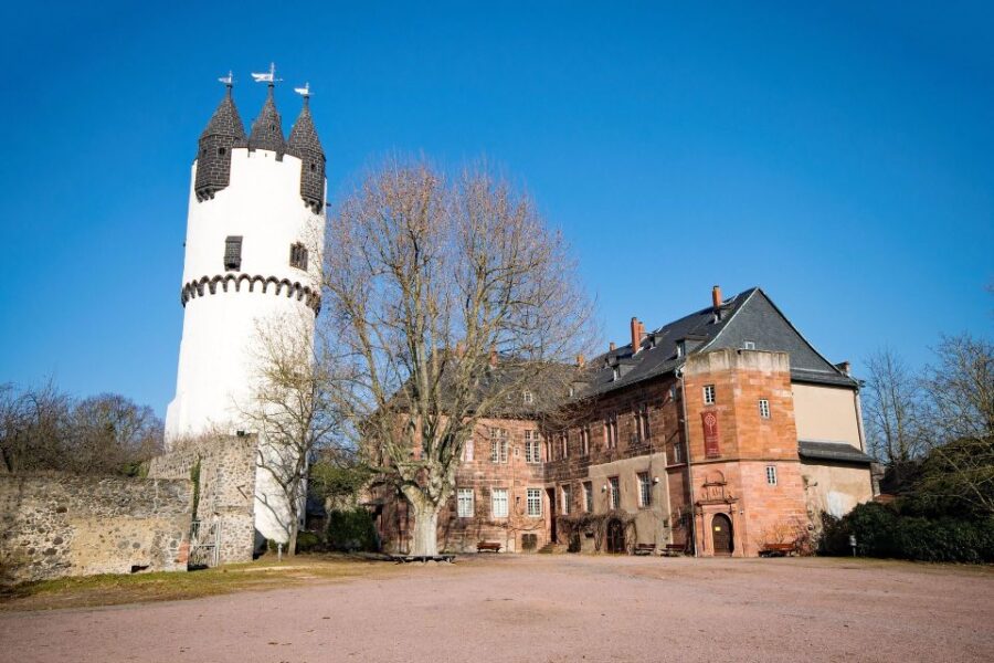 Hanau: Private Guided Walking Tour - Tour Overview and Pricing