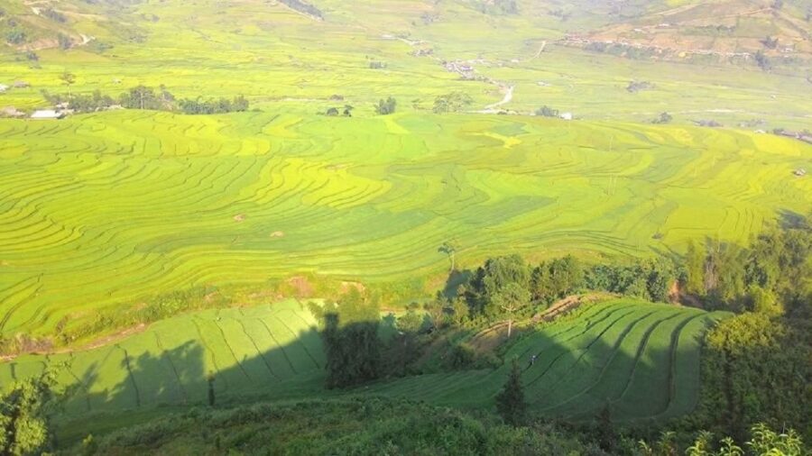 Hanoi: 2-Day Ta Van & Sapa Trek With Local Guide & Homestay - Trekking Through Muong Hoa Valley