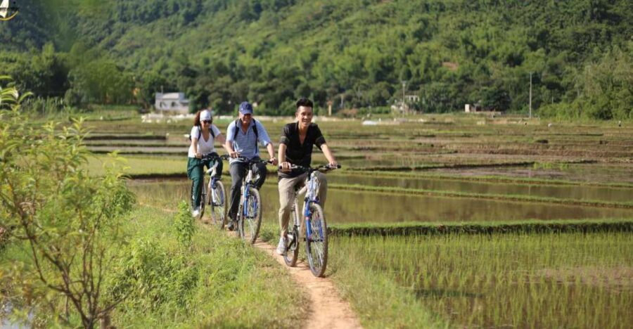 Hanoi: Full Day Guided Tour of Hoa Lu, Tam Coc, and Mua Cave - Tour Overview