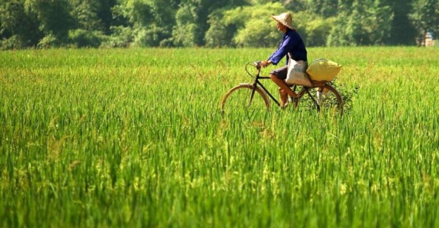 hanoi-guided-full-day-mai-chau-biking-with-lunch-tranfers-tour-highlights