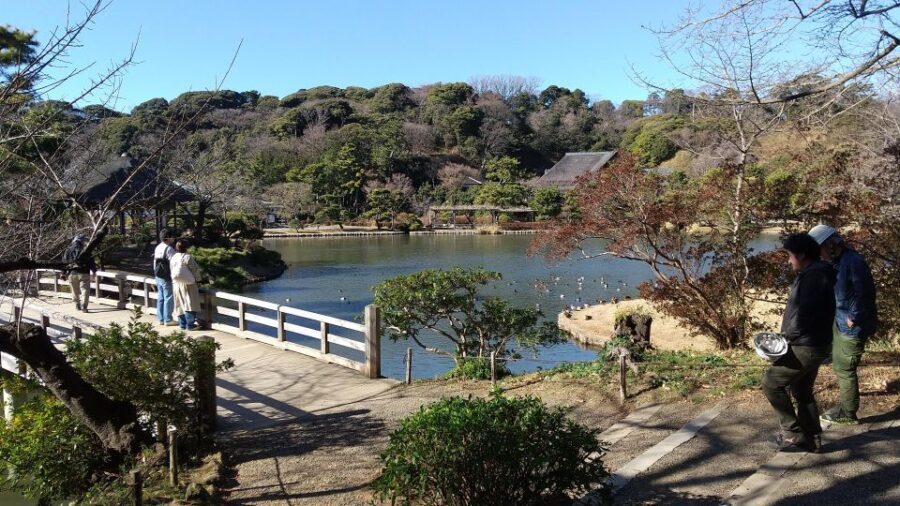 Heart of Yokohama Walking: Experience Hill Area - Tour Overview