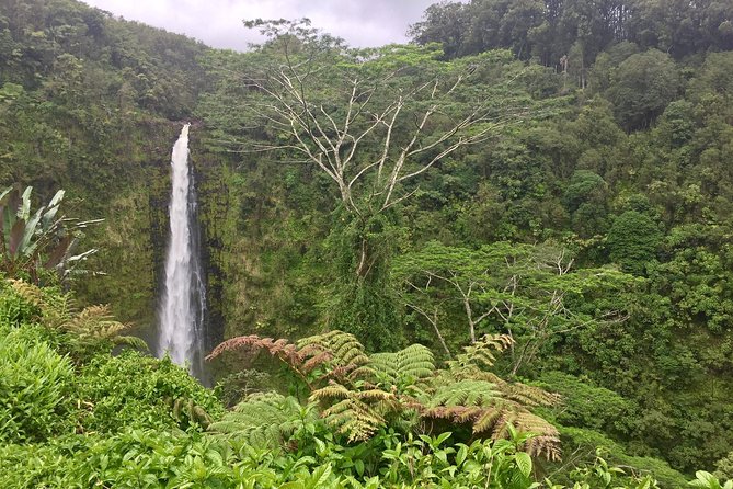 heavenly-hamakua-from-kona-tour-highlights
