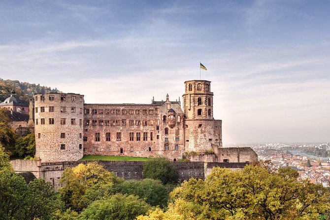 Heidelberg and Rhine Valley Day Trip With Wine Tasting and Dinner From Frankfurt - Itinerary Highlights