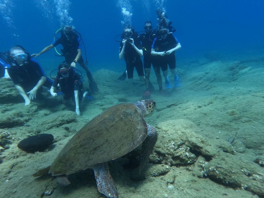 heraklion-beginners-intro-dive-w-2-dives-with-transfer-overview-of-beginners-dive