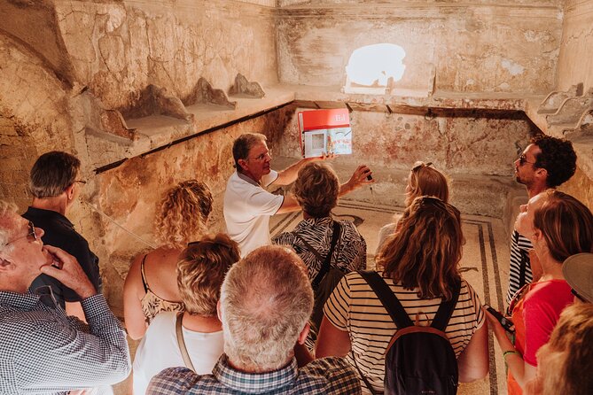 Herculaneum Small Group Tour and Ticket With an Archaeologist - Tour Overview